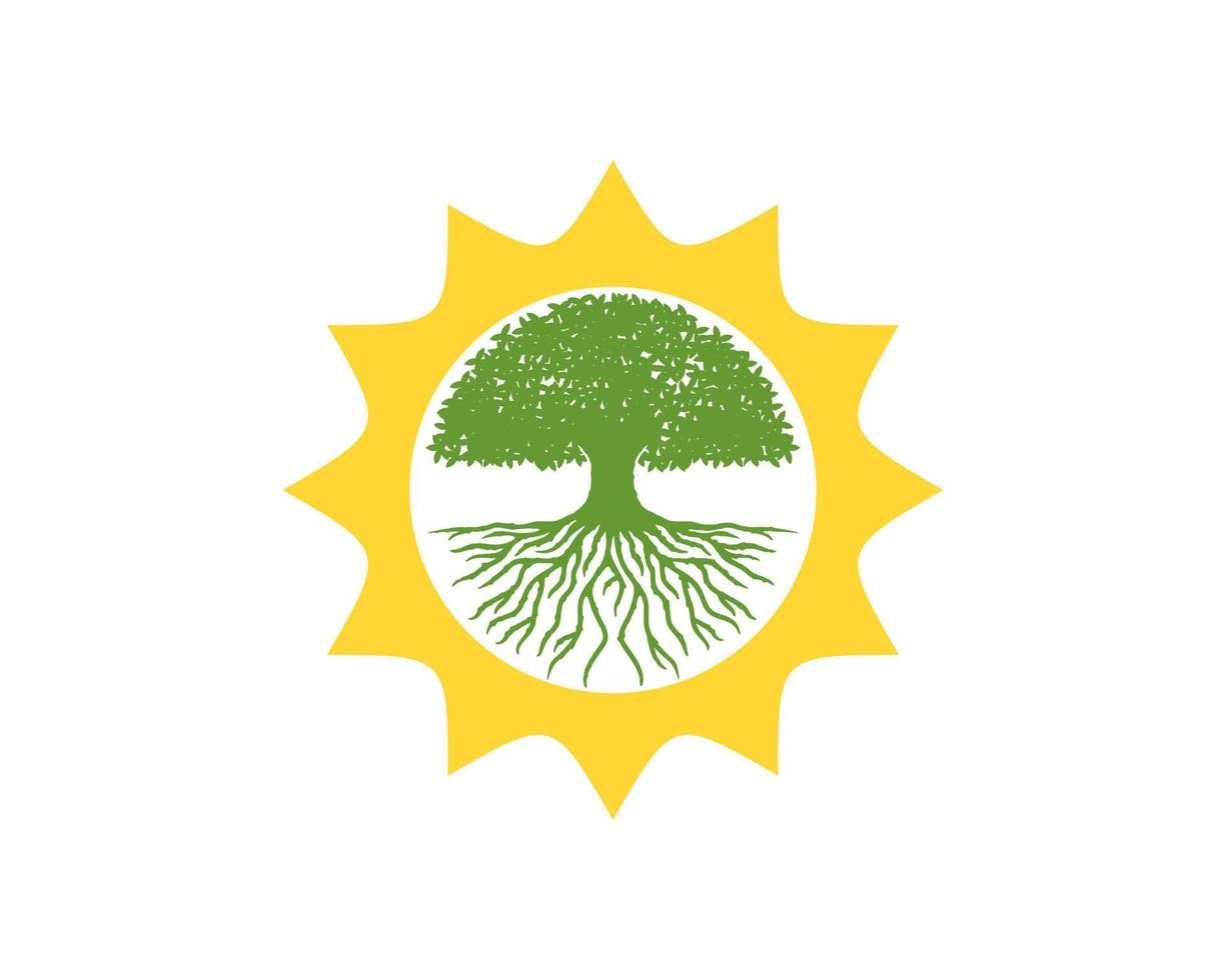 Shinning sun with oak tree inside vector