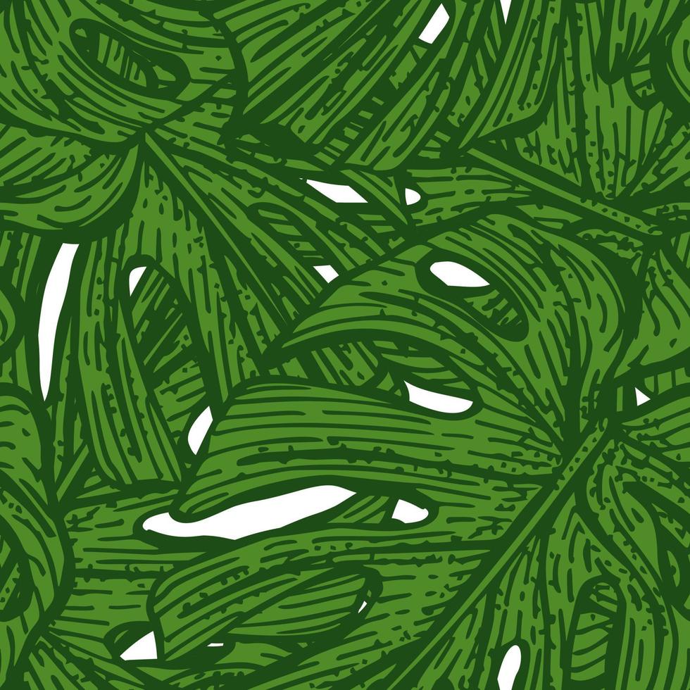 Tropical Monstera leaf seamless pattern. Jungle leaves background. vector