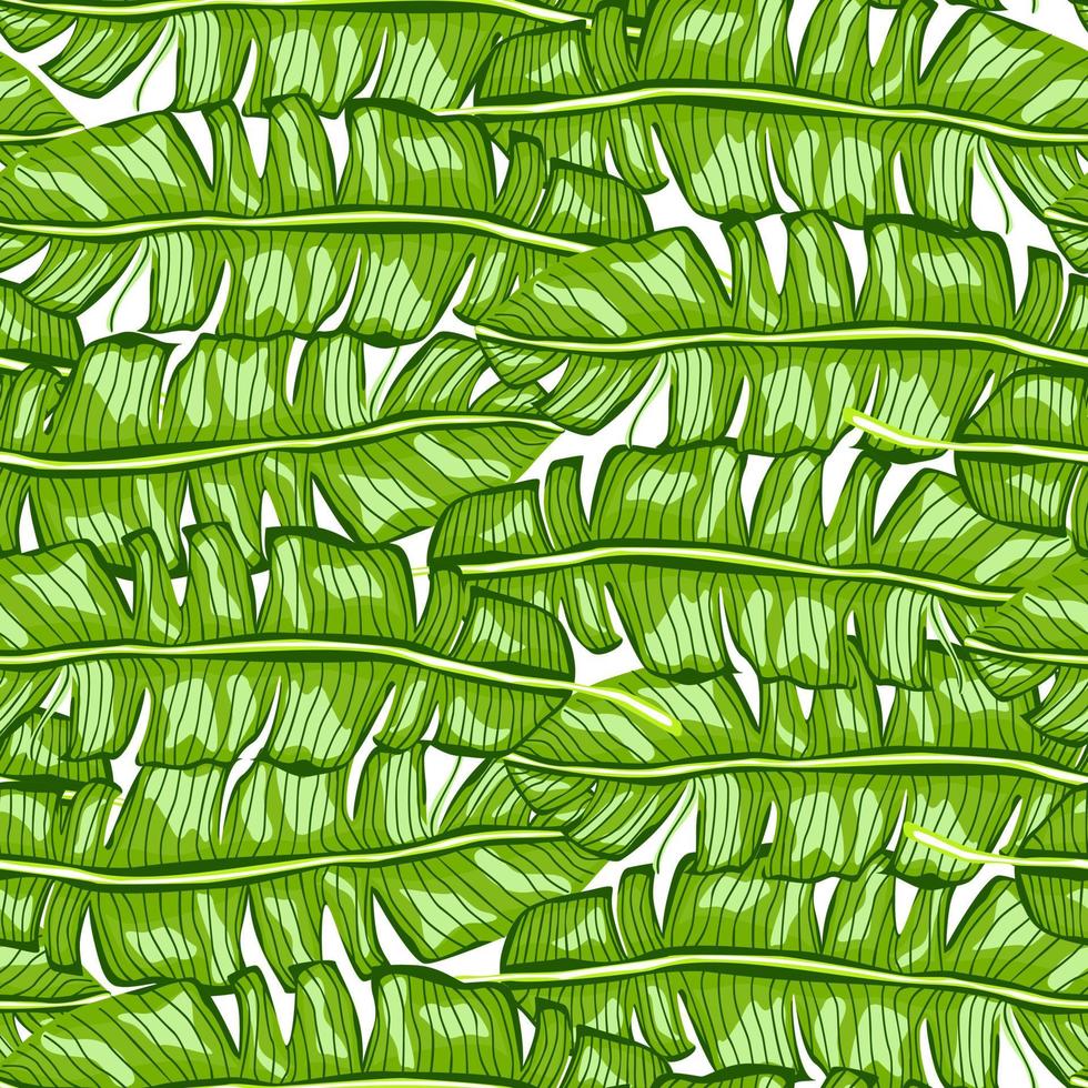 patrón transparente tropical de hoja de plátano. fondo de hojas de selva. fondo de pantalla de la selva tropical. vector