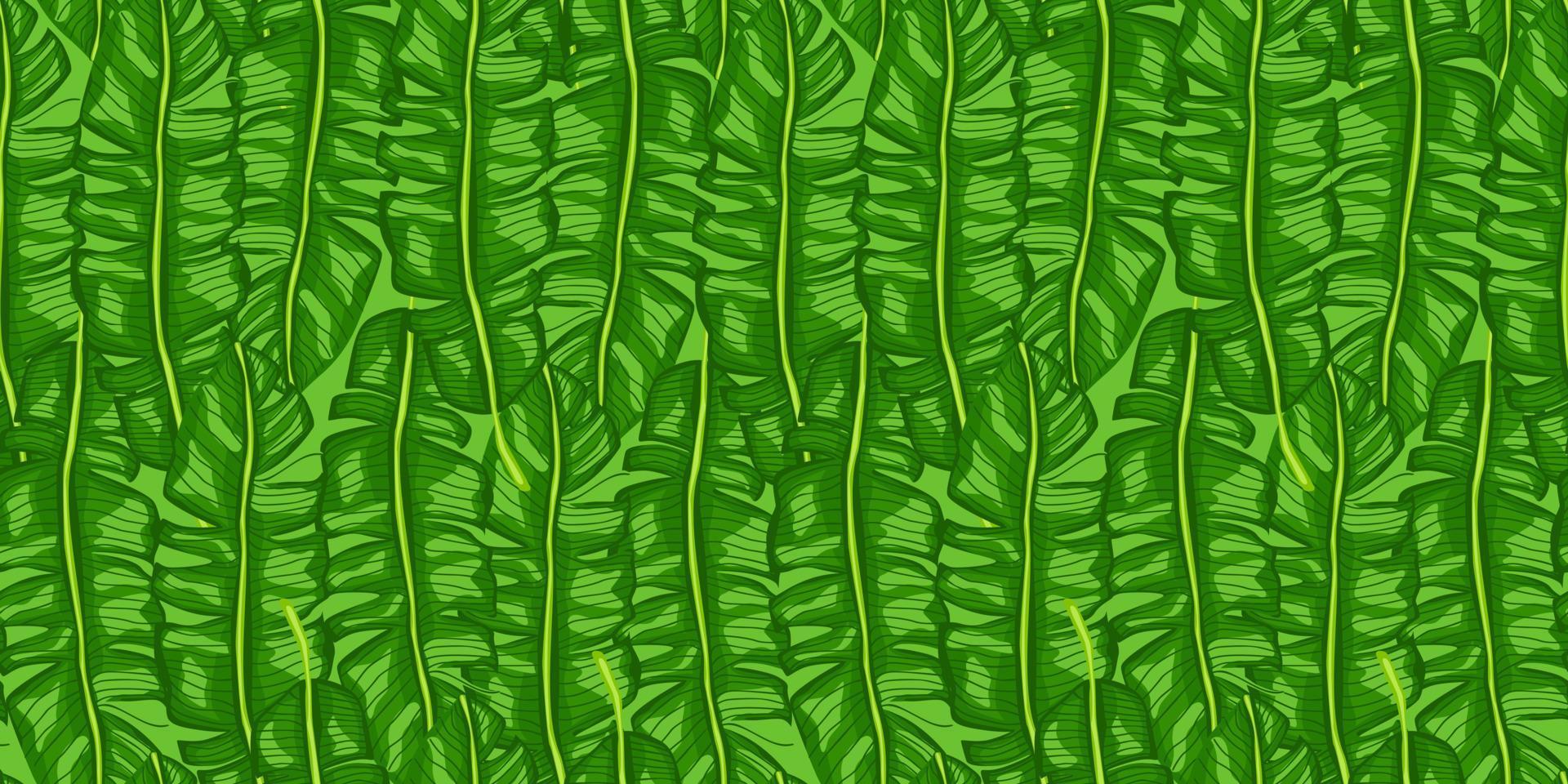 patrón transparente tropical de hoja de plátano. fondo de hojas de selva. vector