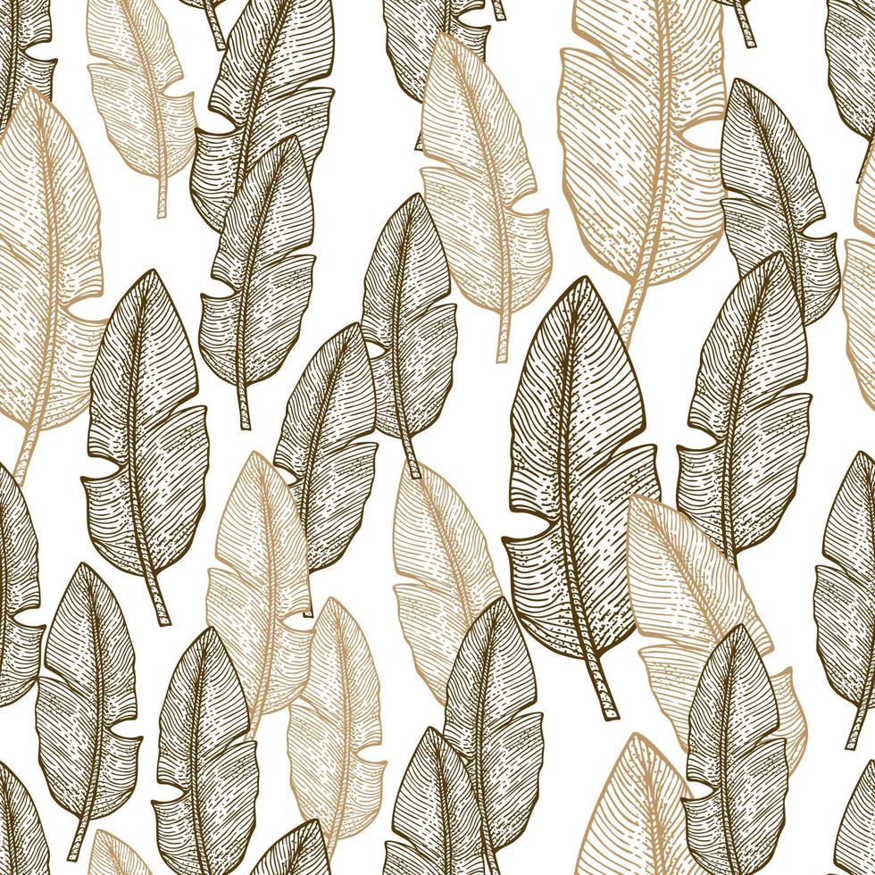 patrón sin costuras de hoja de plátano. rama tropical vintage en estilo de grabado. vector