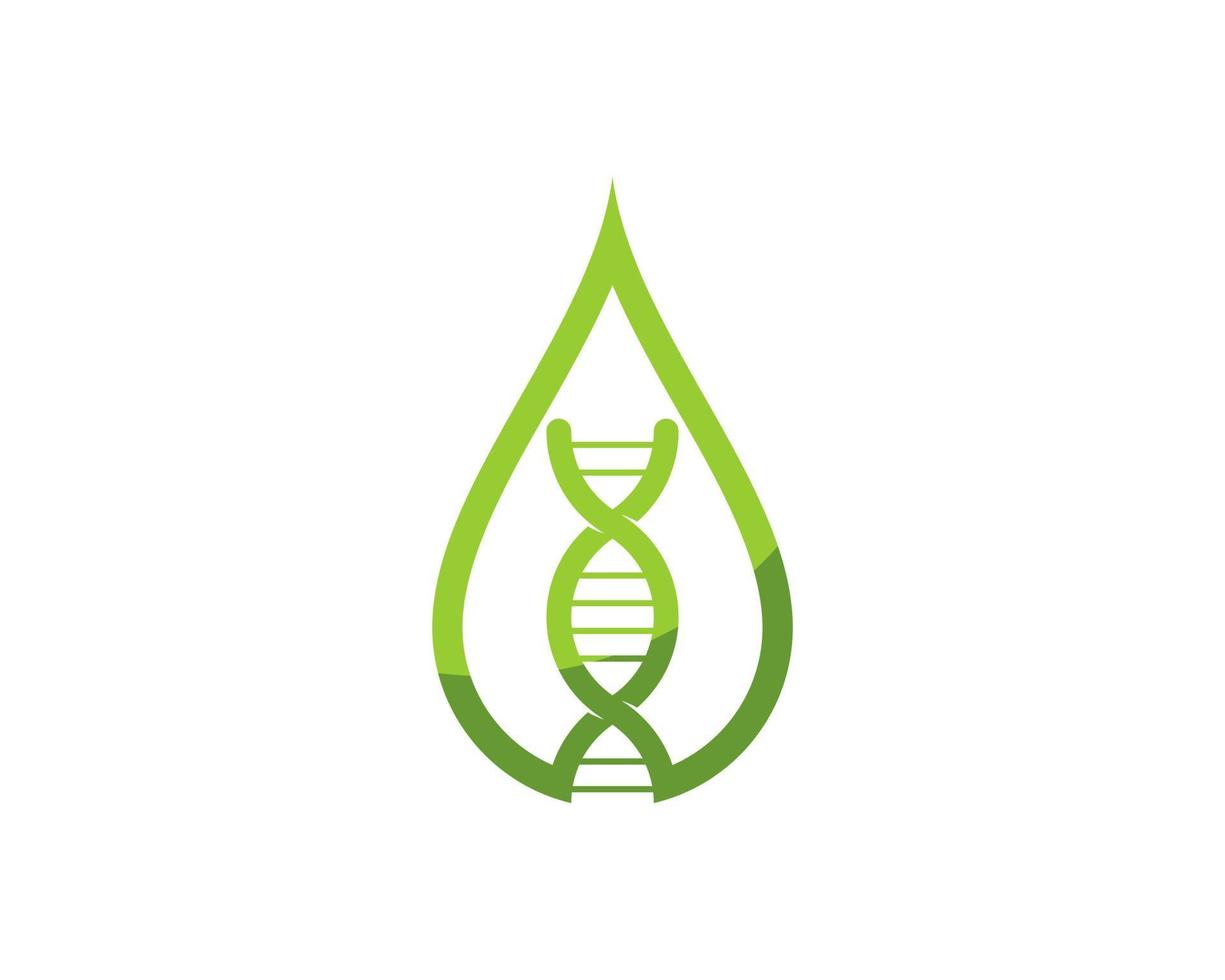 Simple water drop outline with DNA symbol inside vector