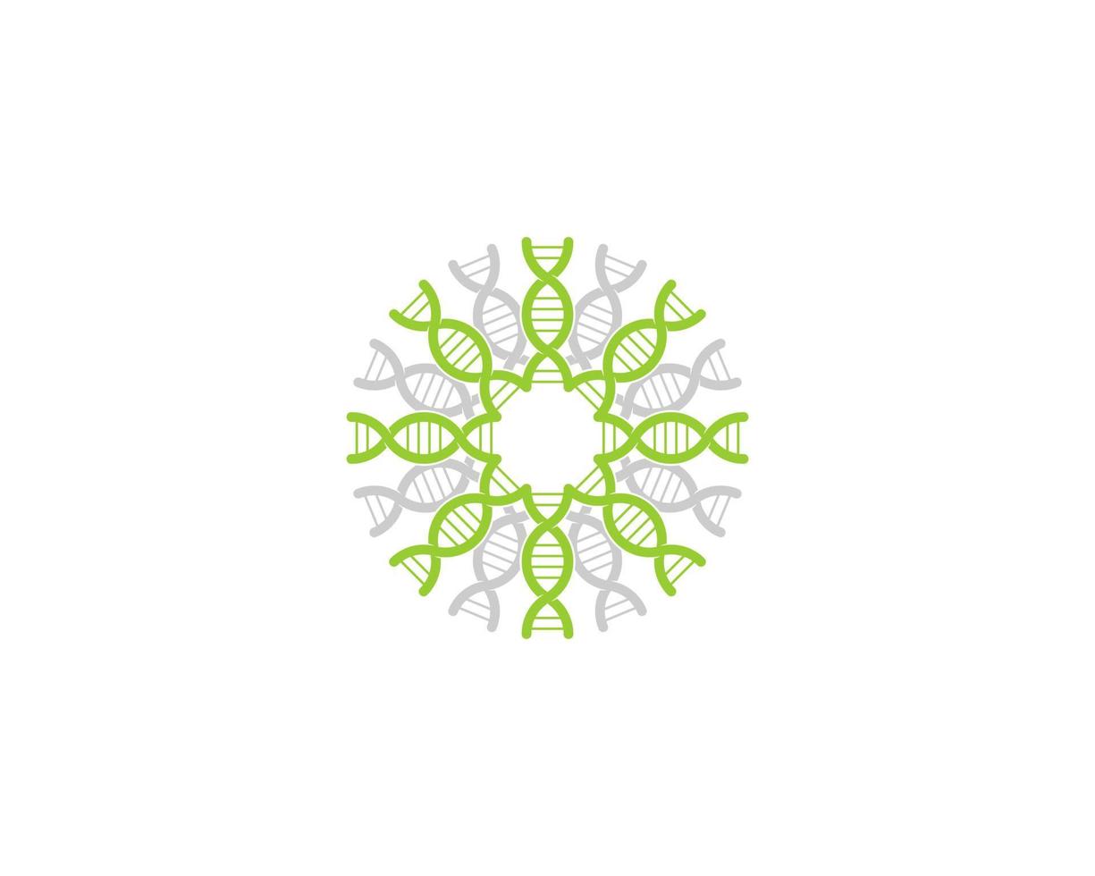 Circular DNA Helix with green and grey color vector