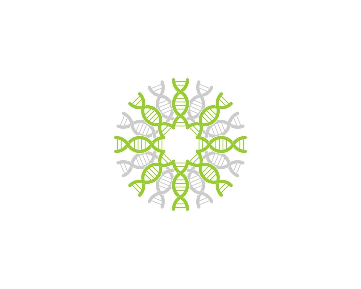 Circular DNA Helix with green and grey color vector