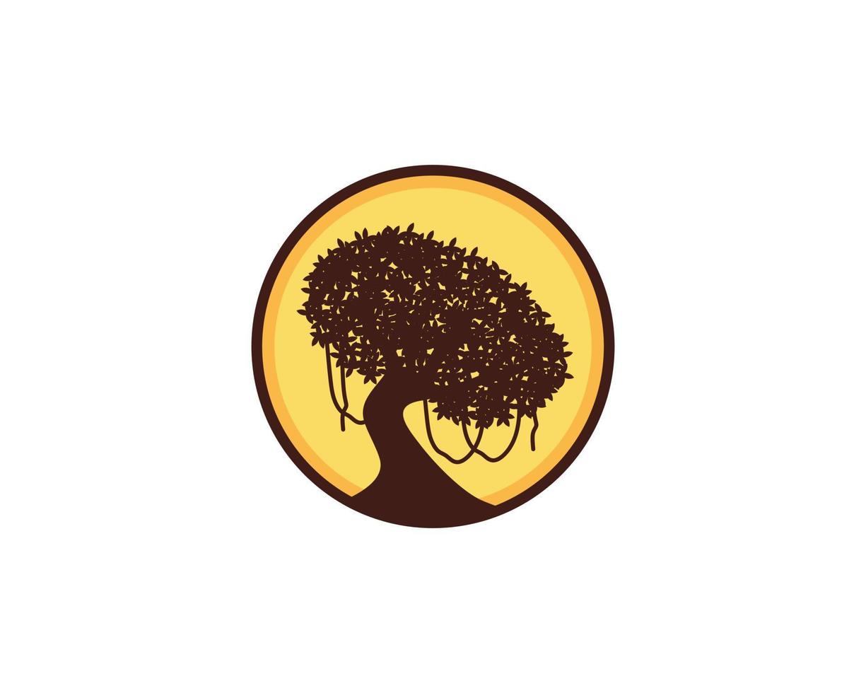 Dense tree with sunset light in the circle logo vector