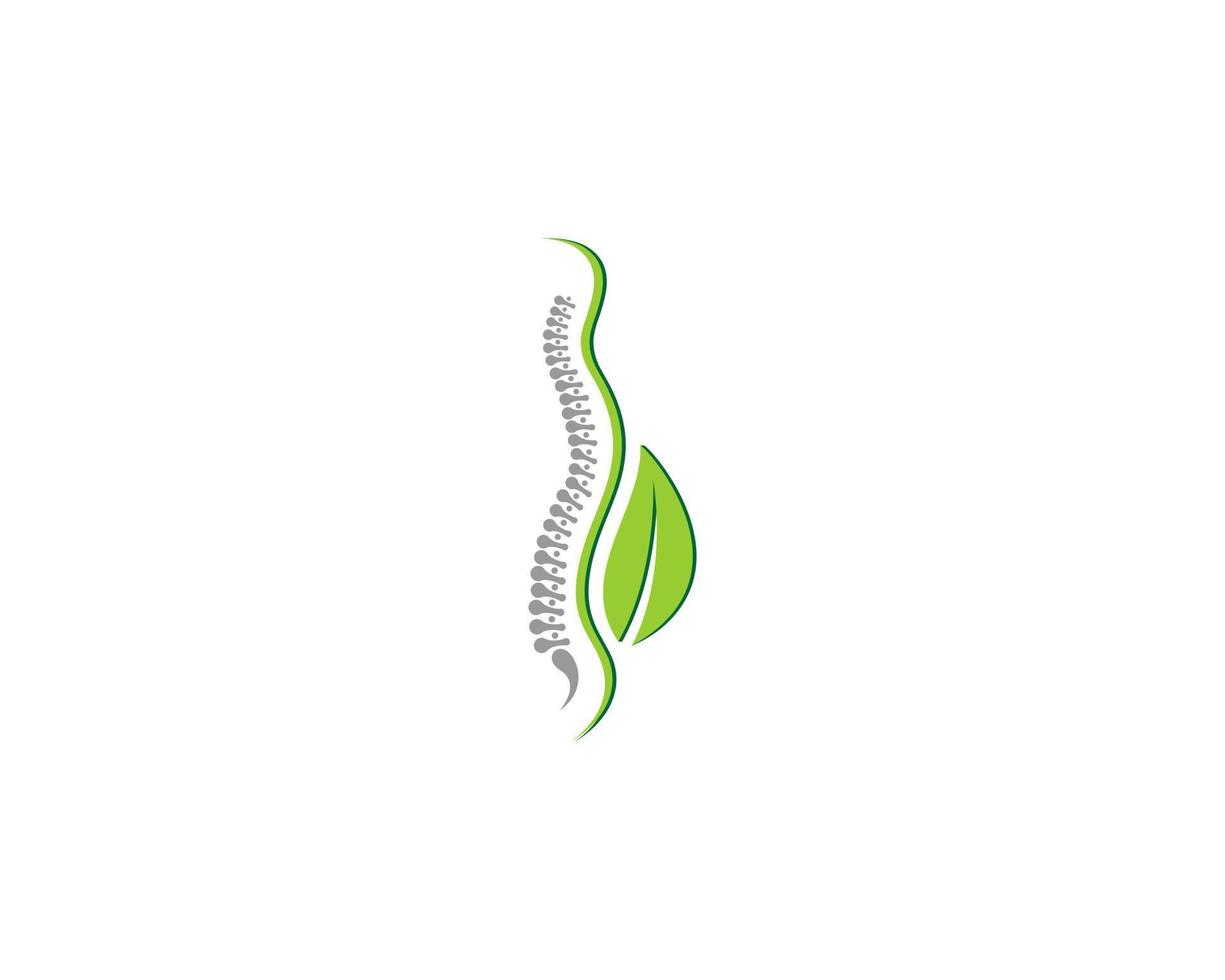 Back spine with green leaf beside vector