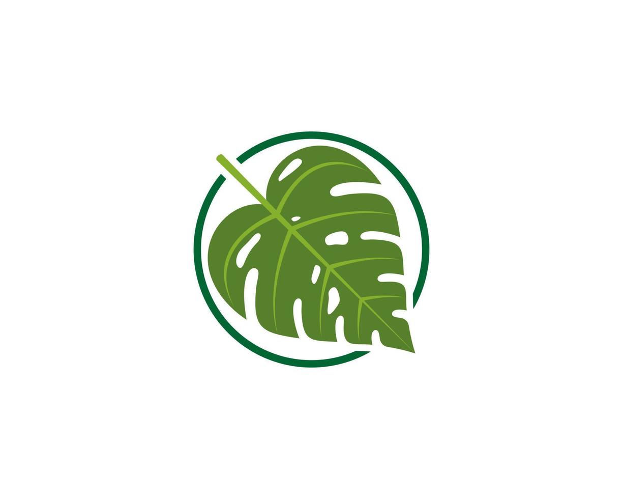 Monstera leaf inside the circle logo vector
