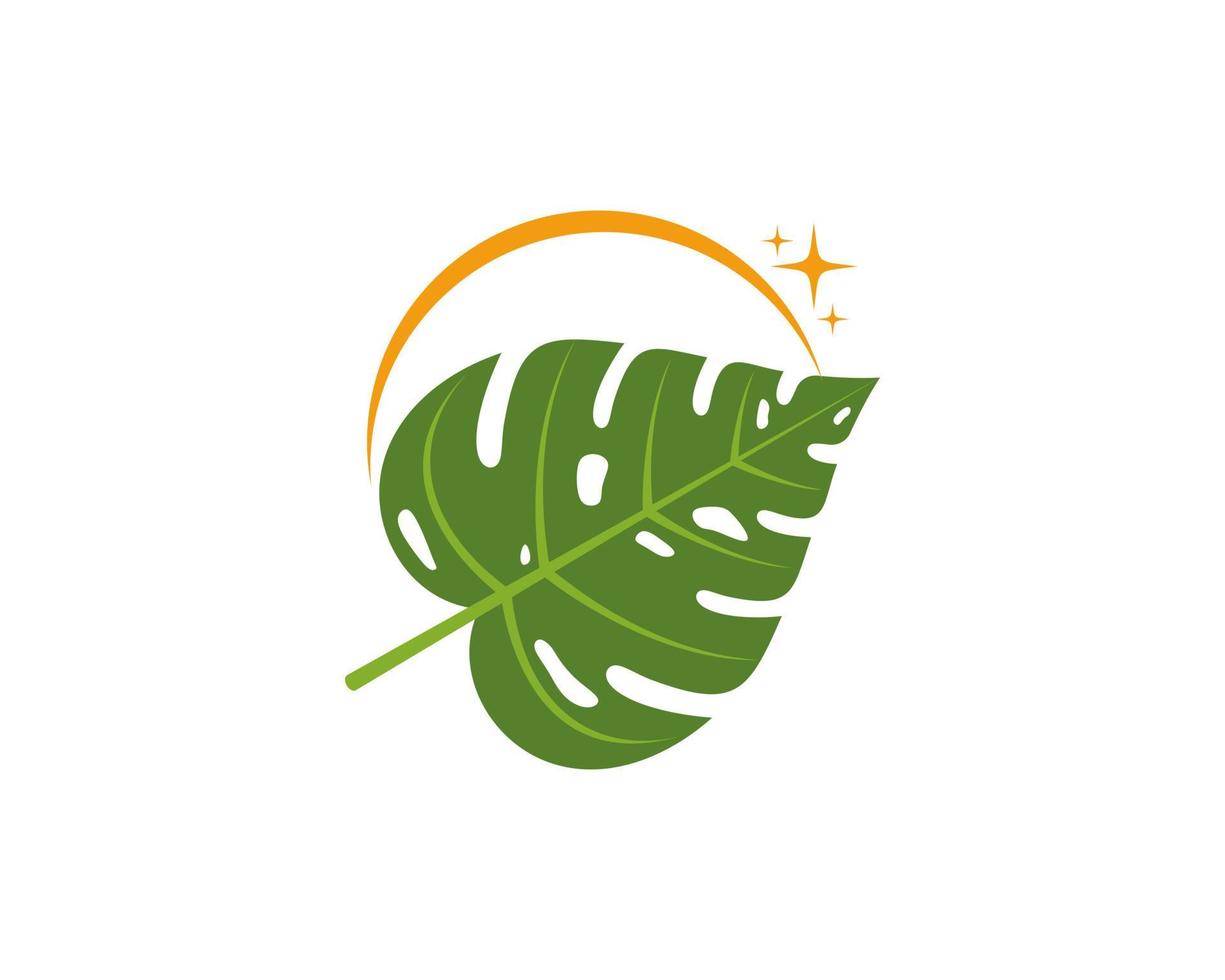 Monstera leaf with rising stars logo vector