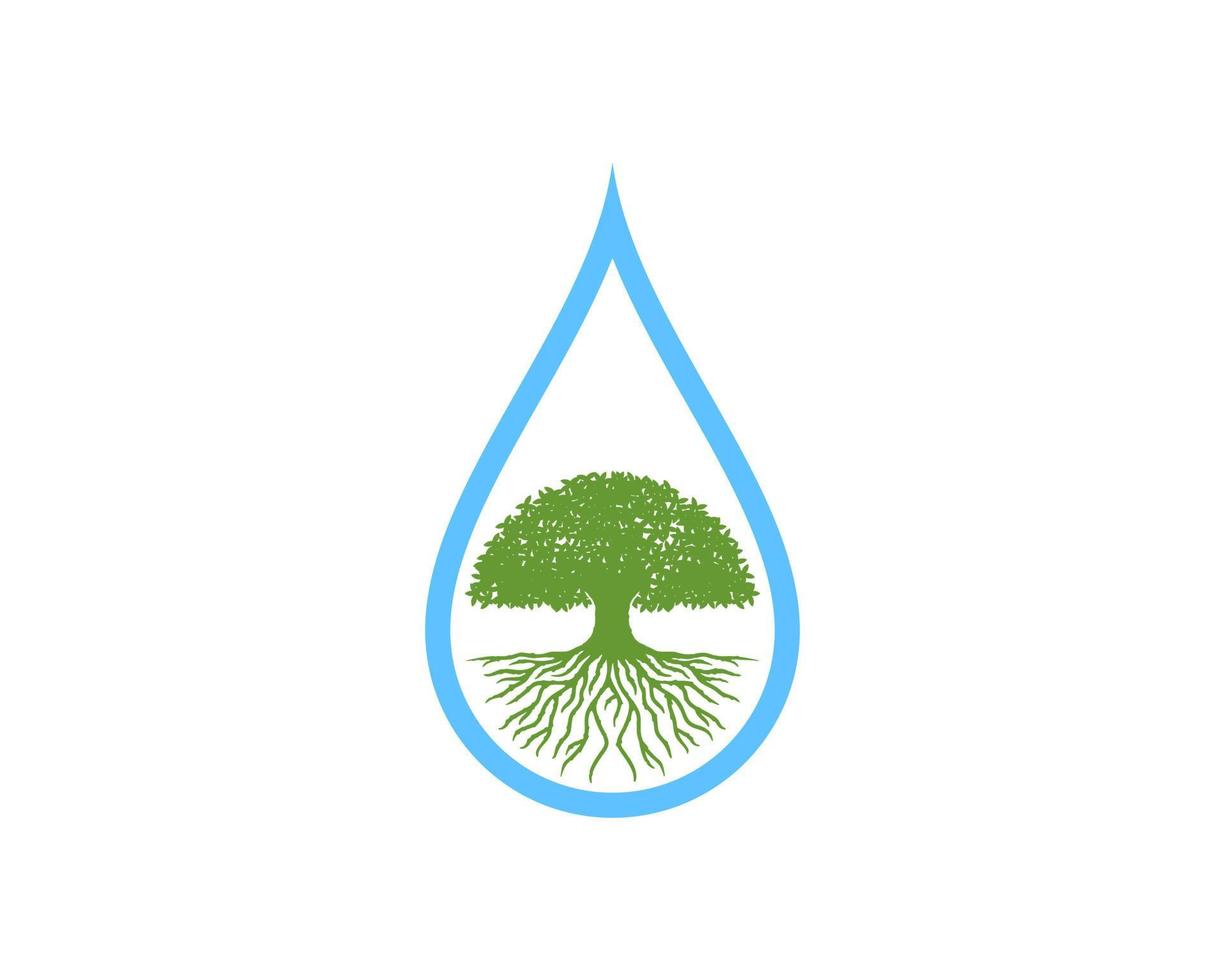 Water drop outline with oak tree inside vector