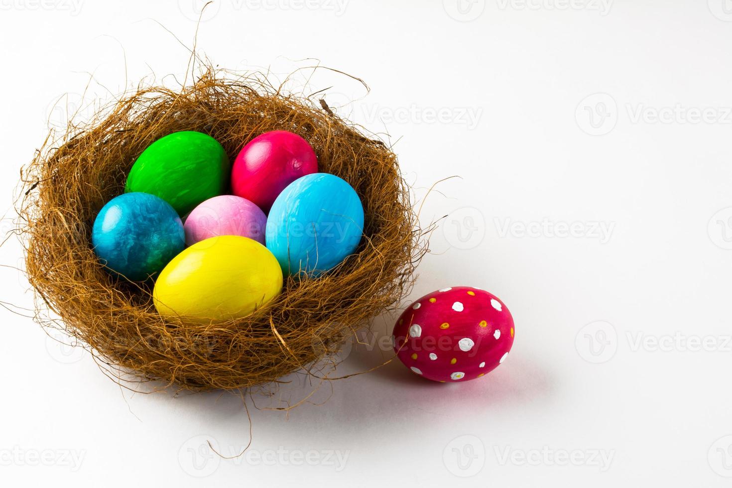 Easter eggs in a nest and pink Easter egg photo
