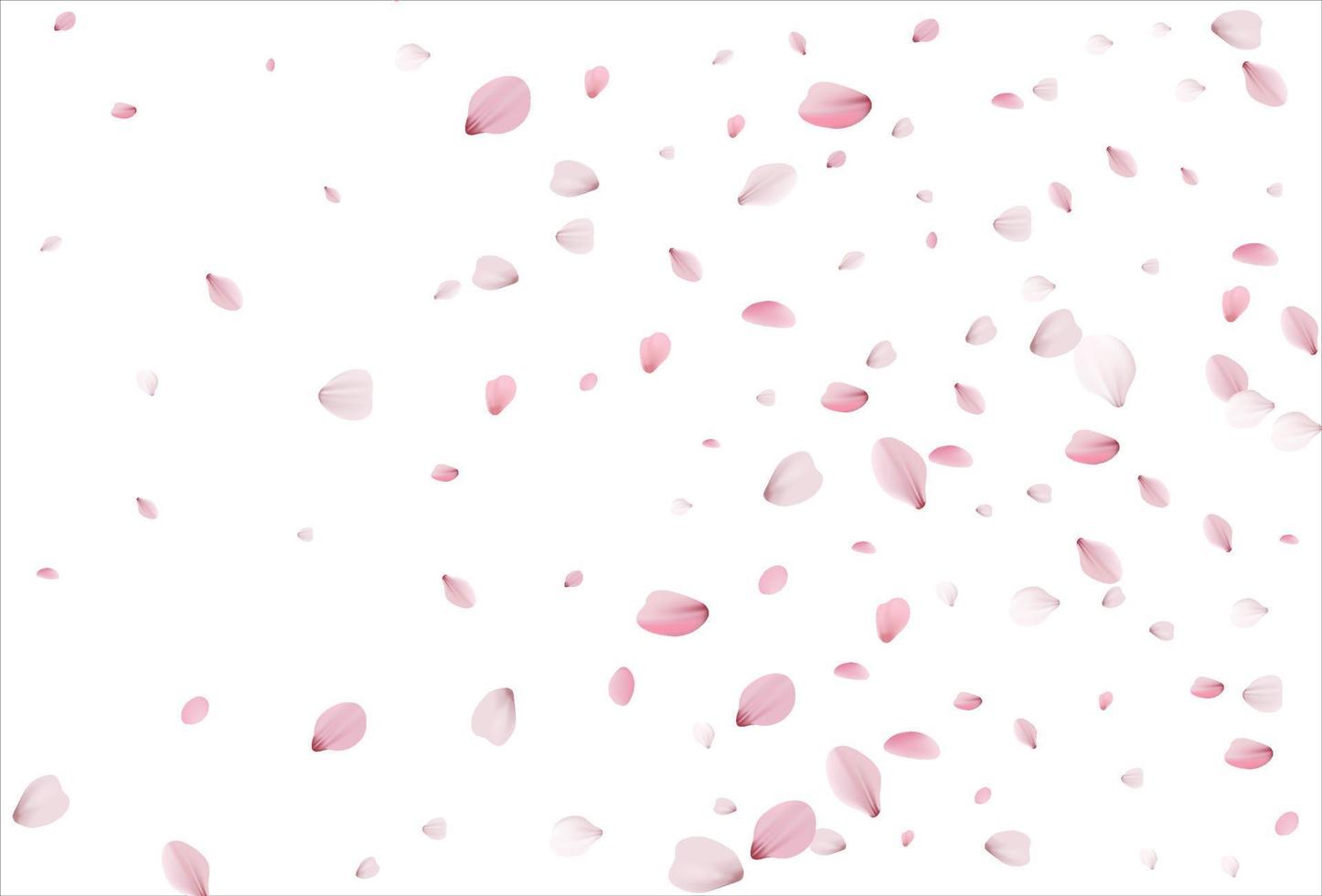 Sakura petals background. Cherry petals vector