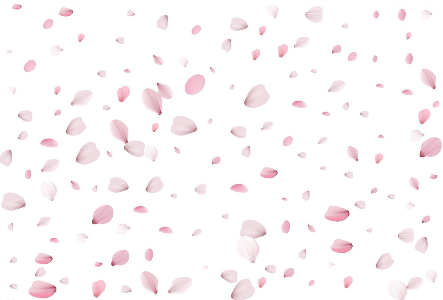 Sakura petals background. Cherry petals vector