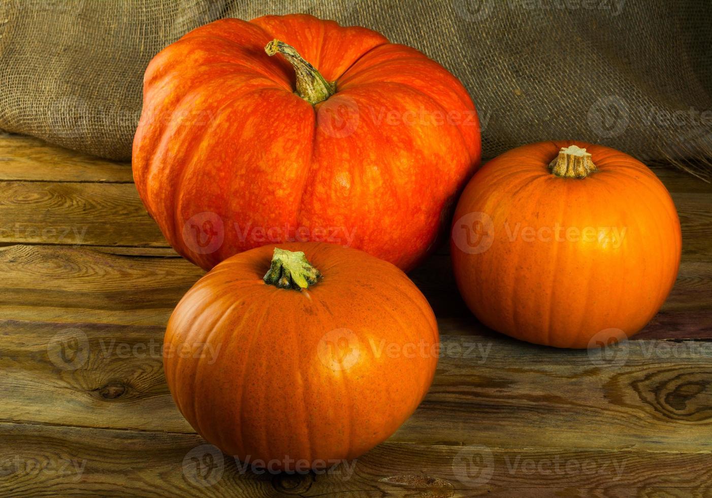 Pumpkins on dark wooden background photo