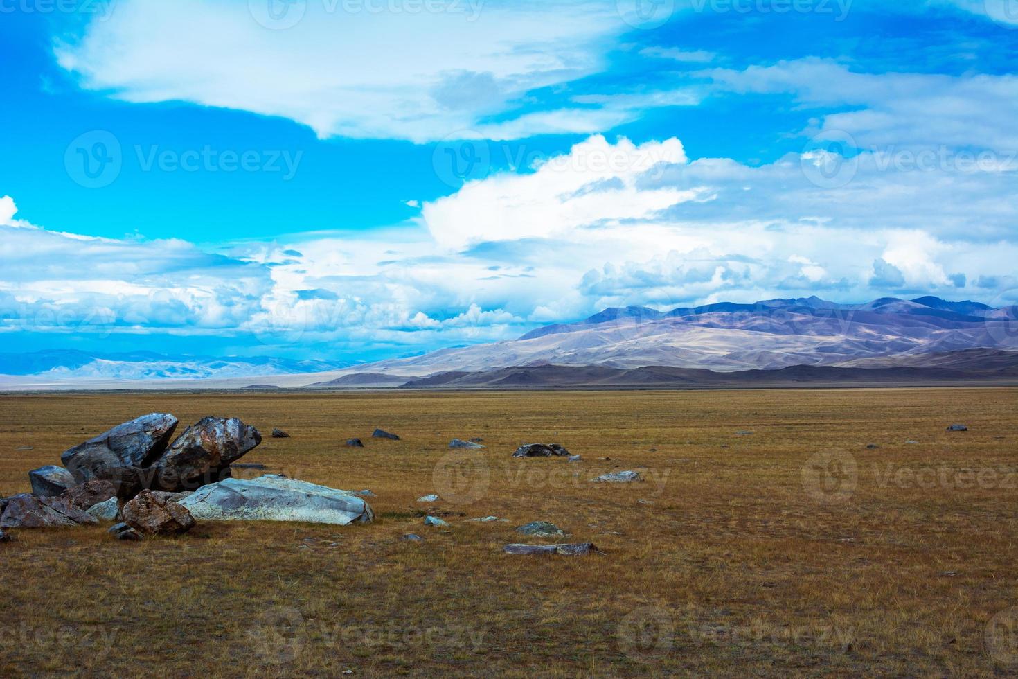 Steppe landscape with a piece of rock photo