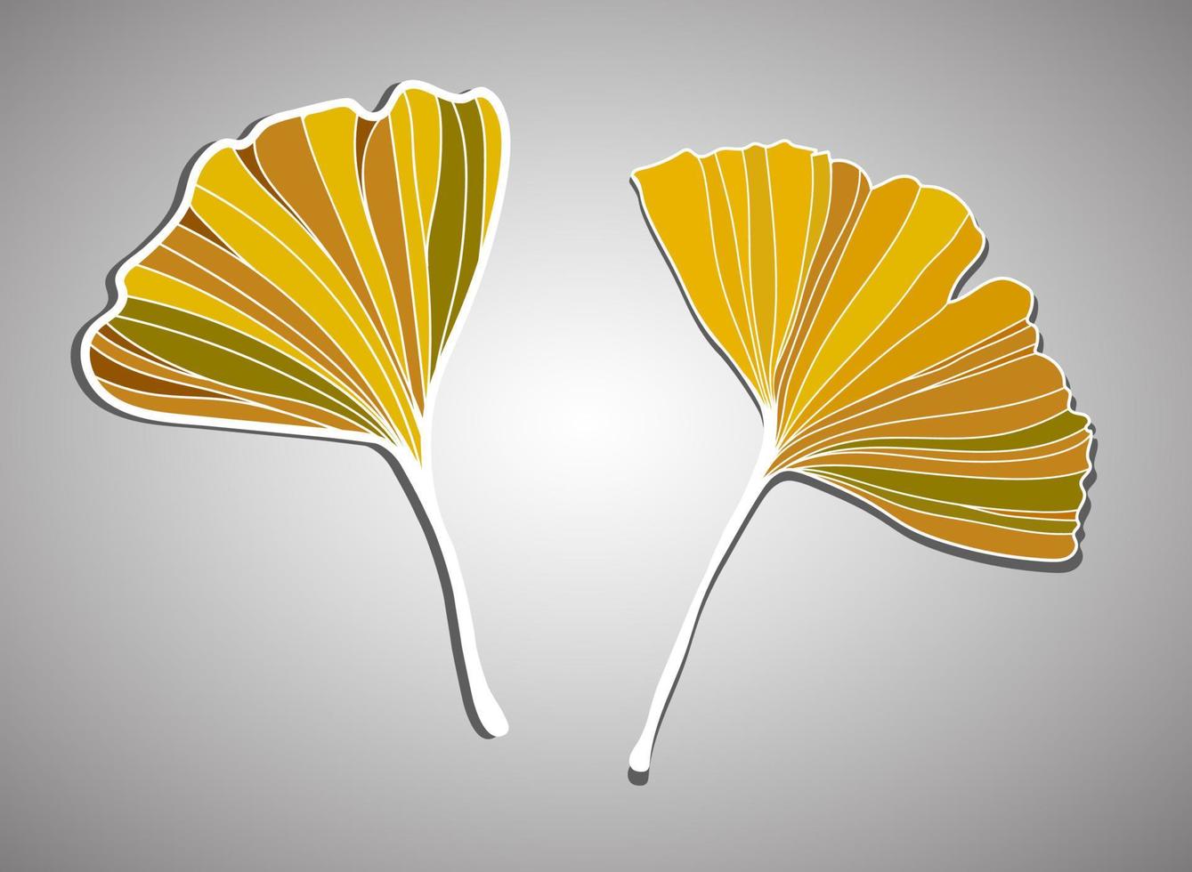 ilustración vectorial de la hoja de ginkgo biloba. diseño de arte de línea de tinta vector