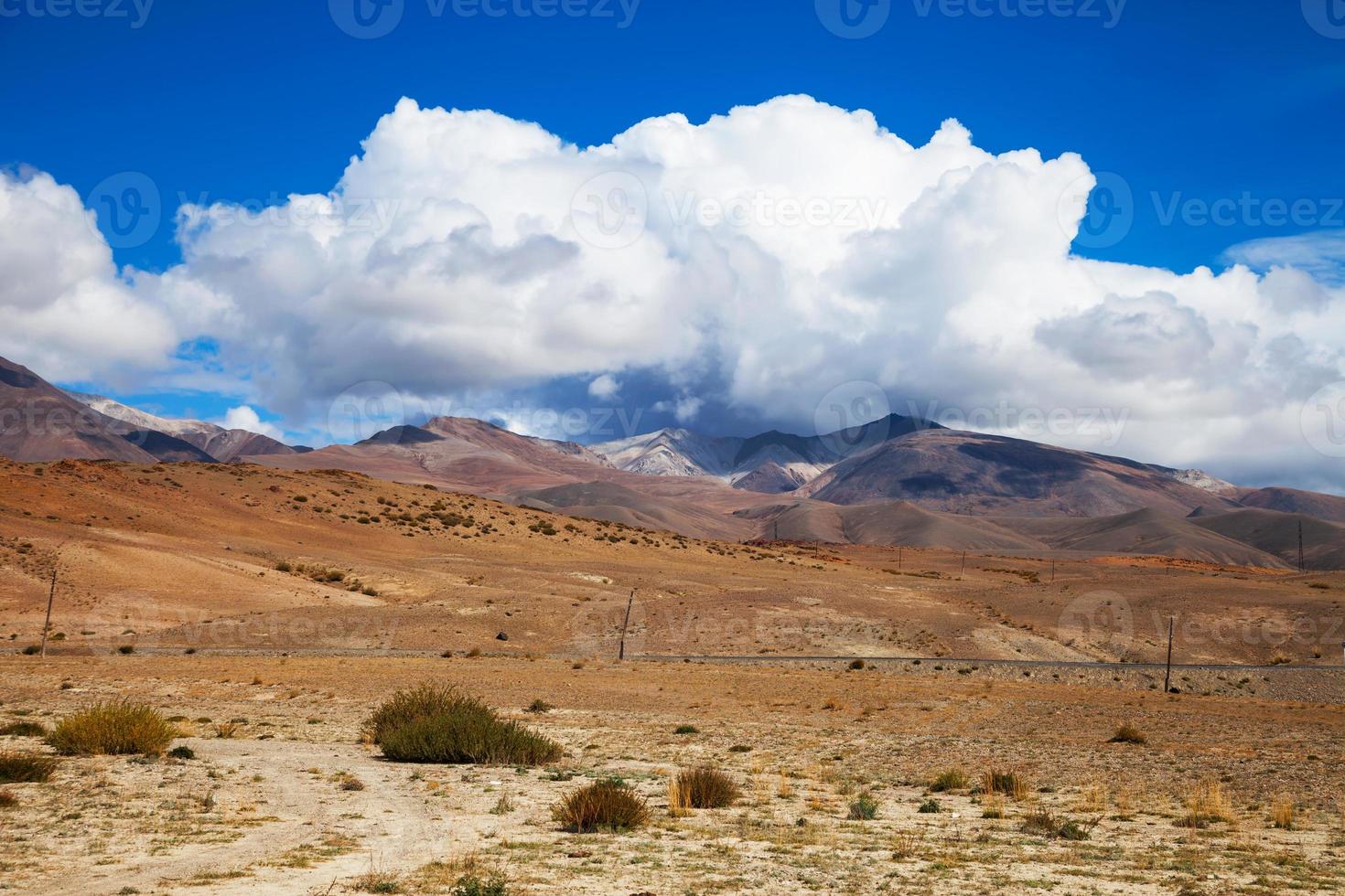 el camino a través de la pradera esteparia foto