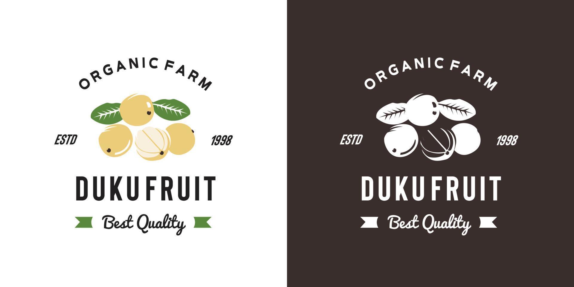 ilustración del logotipo de la fruta duku vintage adecuada para la tienda de frutas y la granja de frutas vector