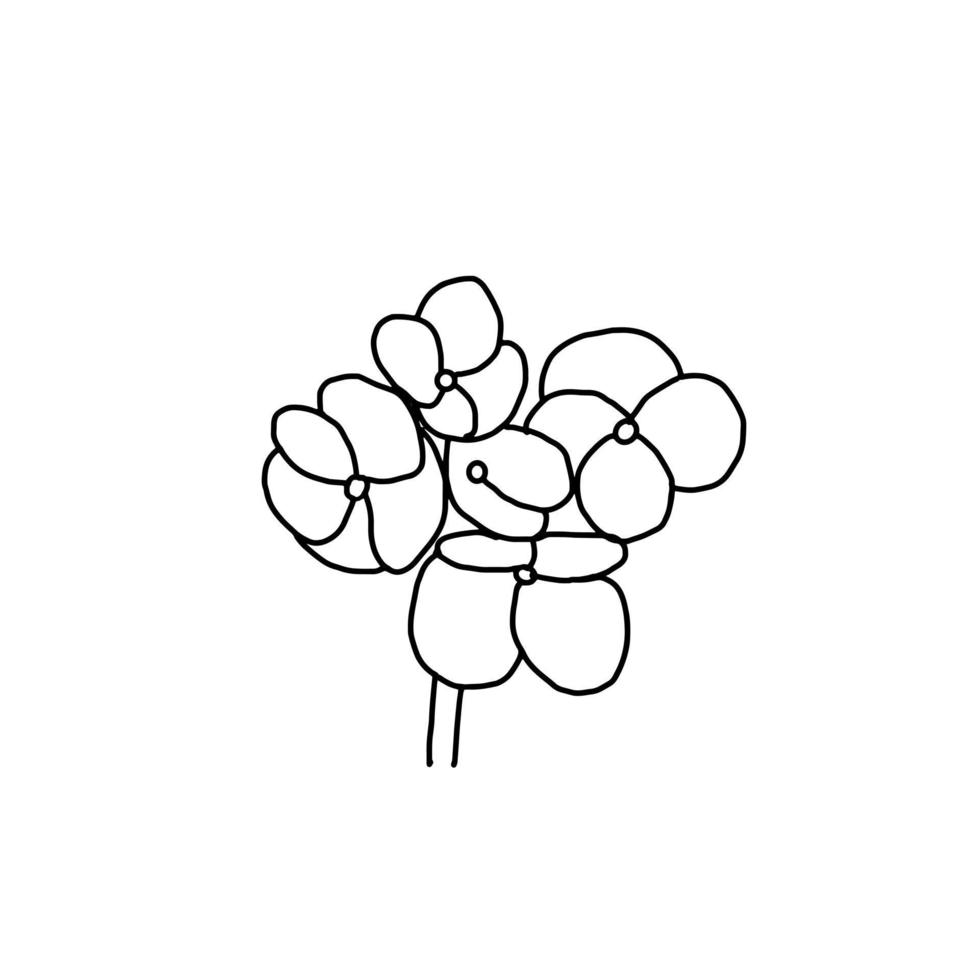 hortensia flor planta dibujado a mano línea orgánica doodle vector