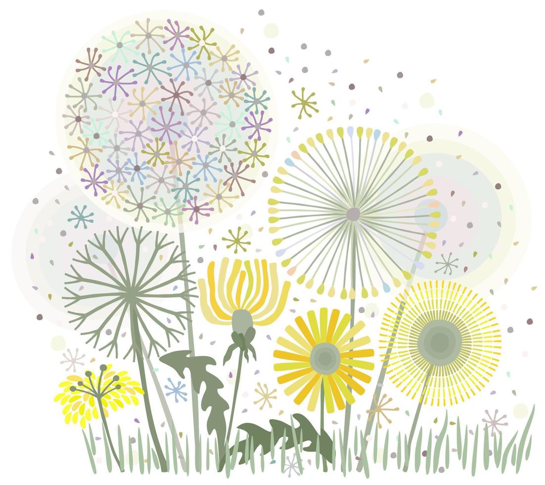 Vector decorative floral illustration of dandelions.