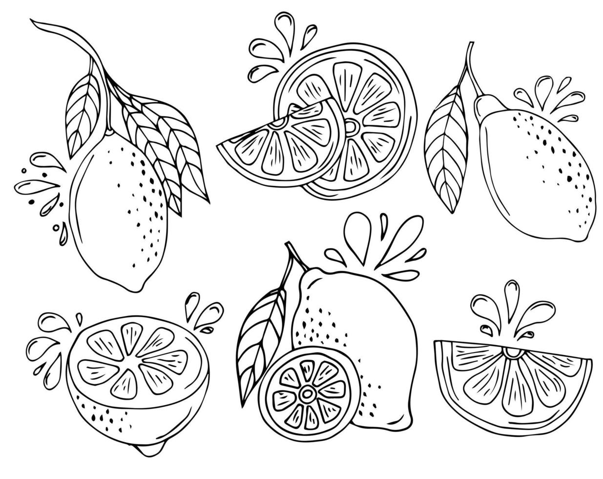 Set Lemon With Lemon Slice Using Line Art or Doodle Style vector