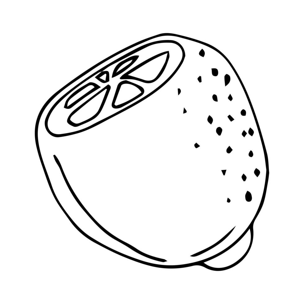 doodle icon. lemon. vector illustration