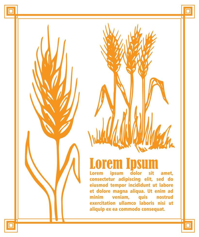 Bakery sketch background. Vintage hand drawn illustration vector