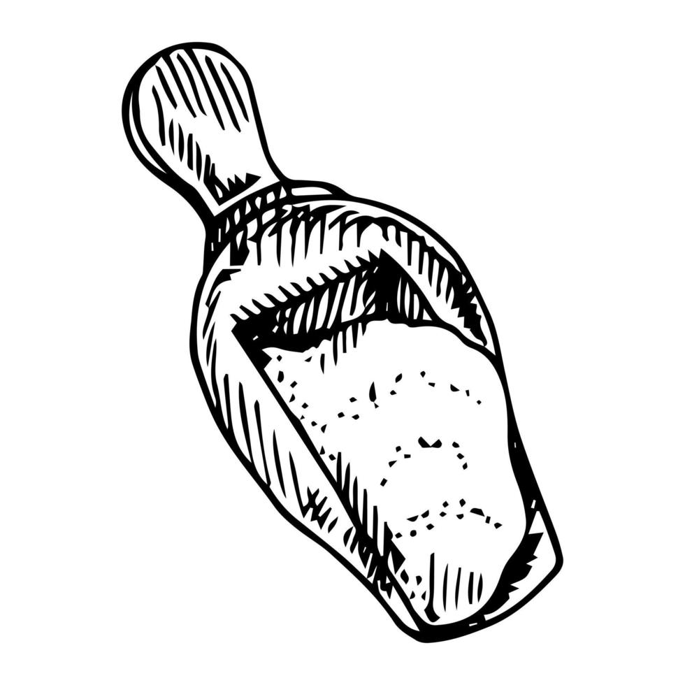 Wooden spoon with food - sketch flour, rice, sea salt, spirulina, spice, potato, oat, sugar, porridge. Doodle hand drawn vector illustration, vintage drawing, isolated white background
