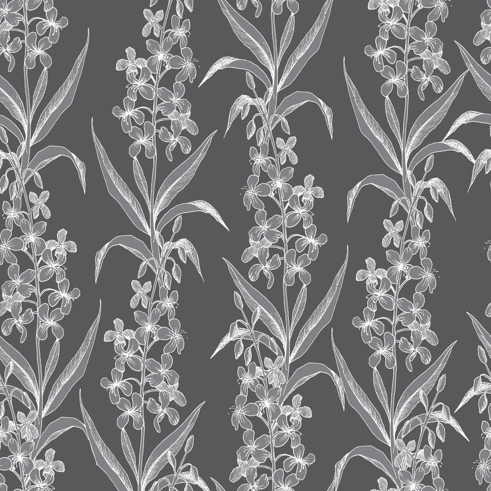 Seamless vector botanical pattern with white sketches of hairy willowherb plant on gray background. Flowers and herbs. For textiles, fabrics, covers, wallpapers, print, wrapping gift