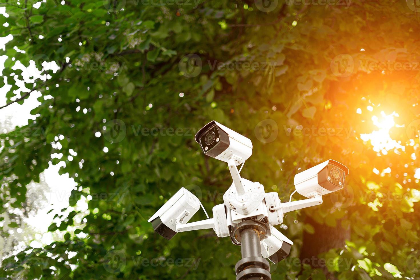 sistema de videovigilancia en un poste en el primer plano del parque foto