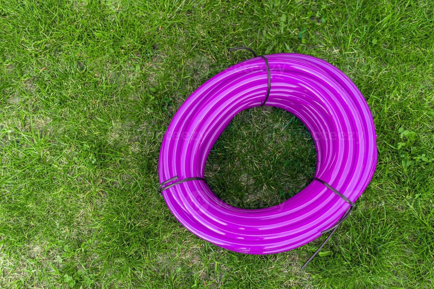 coiled silicone watering hose on the lawn photo