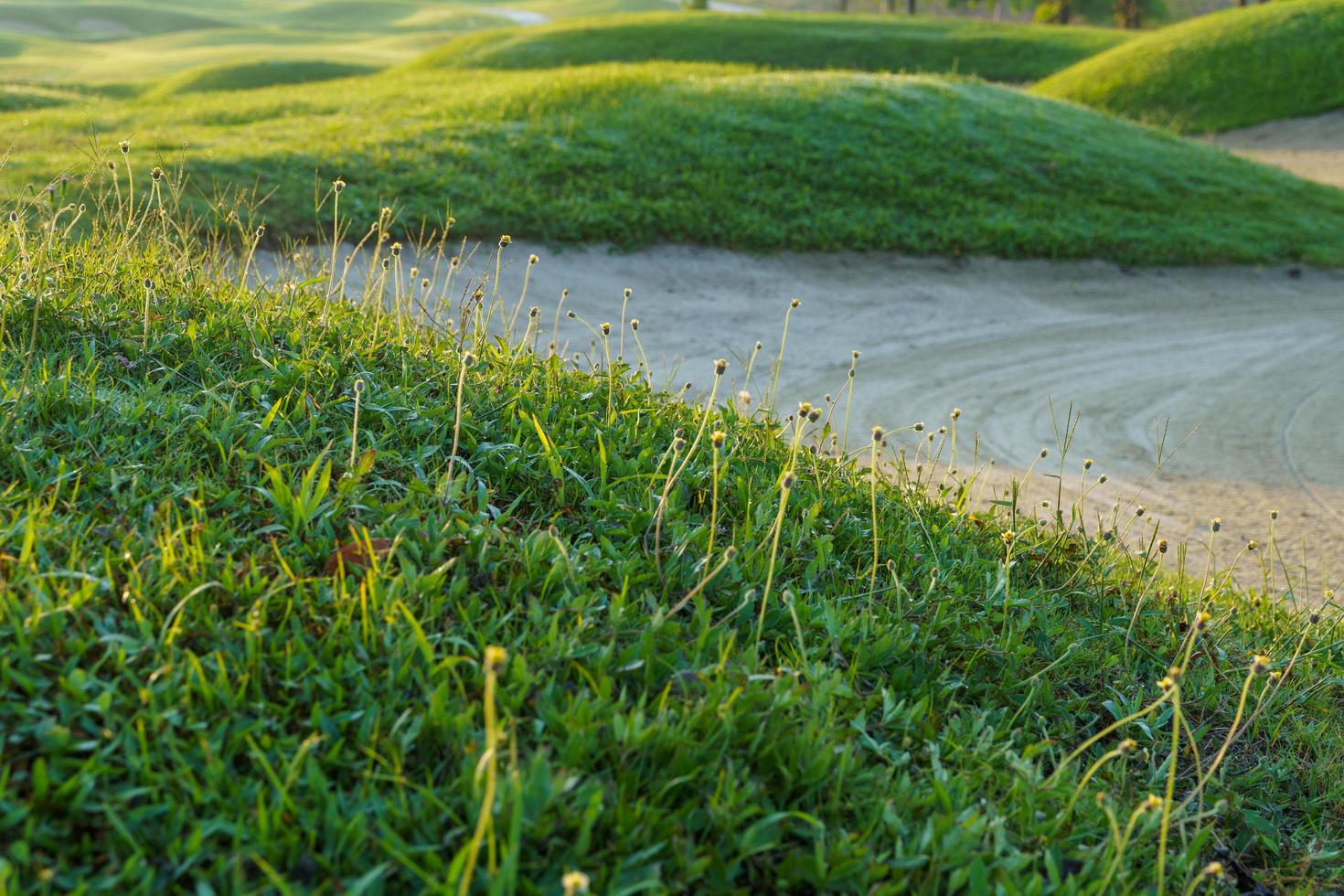 Fondo de arena de campo de golf, bunkers de obstáculos se utilizan para torneos de golf foto