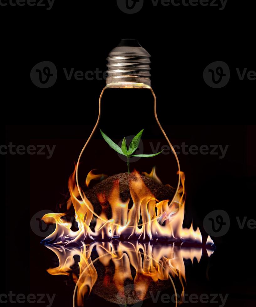 A light bulb with fresh green leaves inside on the fire, isolated on black background. photo