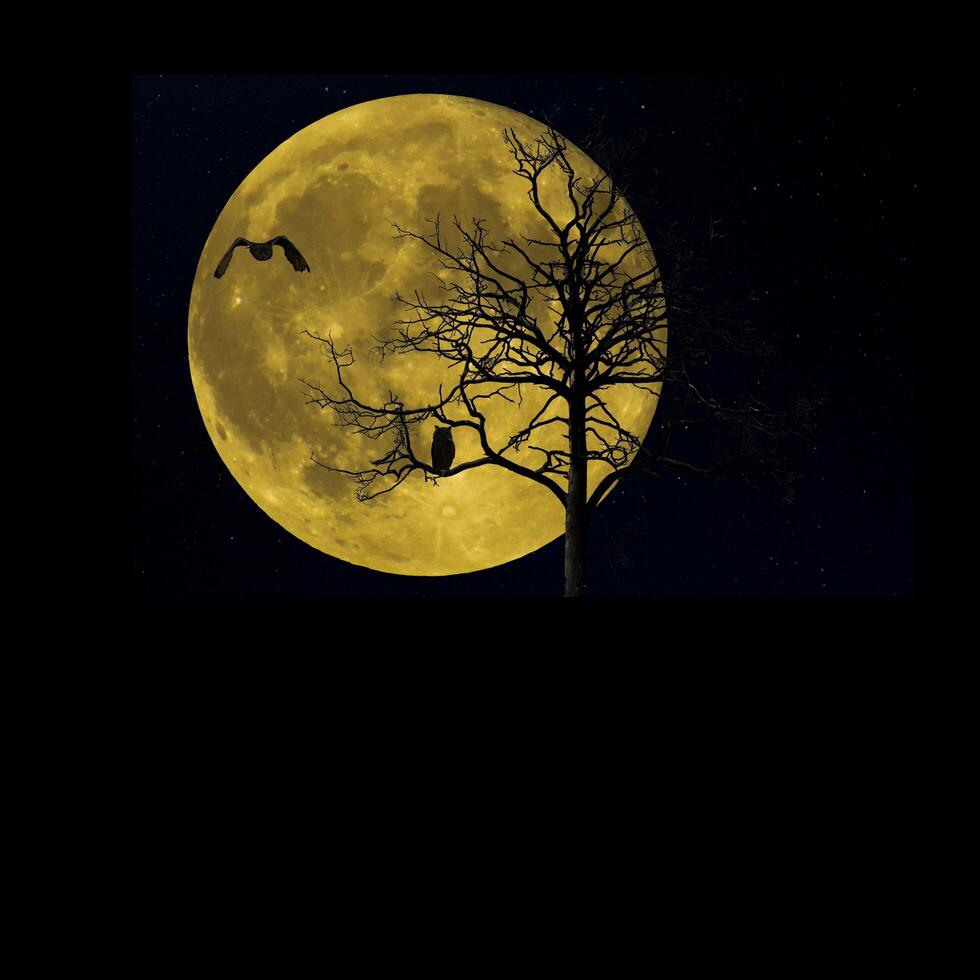 full moon, beautiful moon, smiling moon, at night, photo