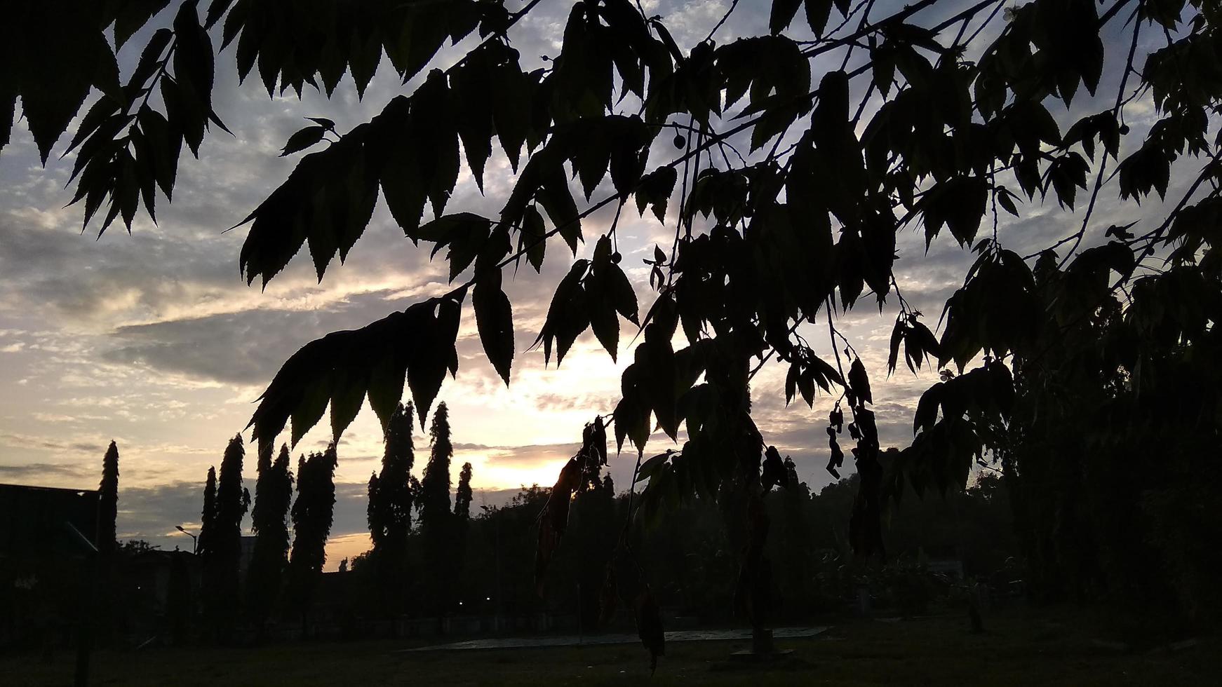 la vista en la mañana cuando sale el sol foto