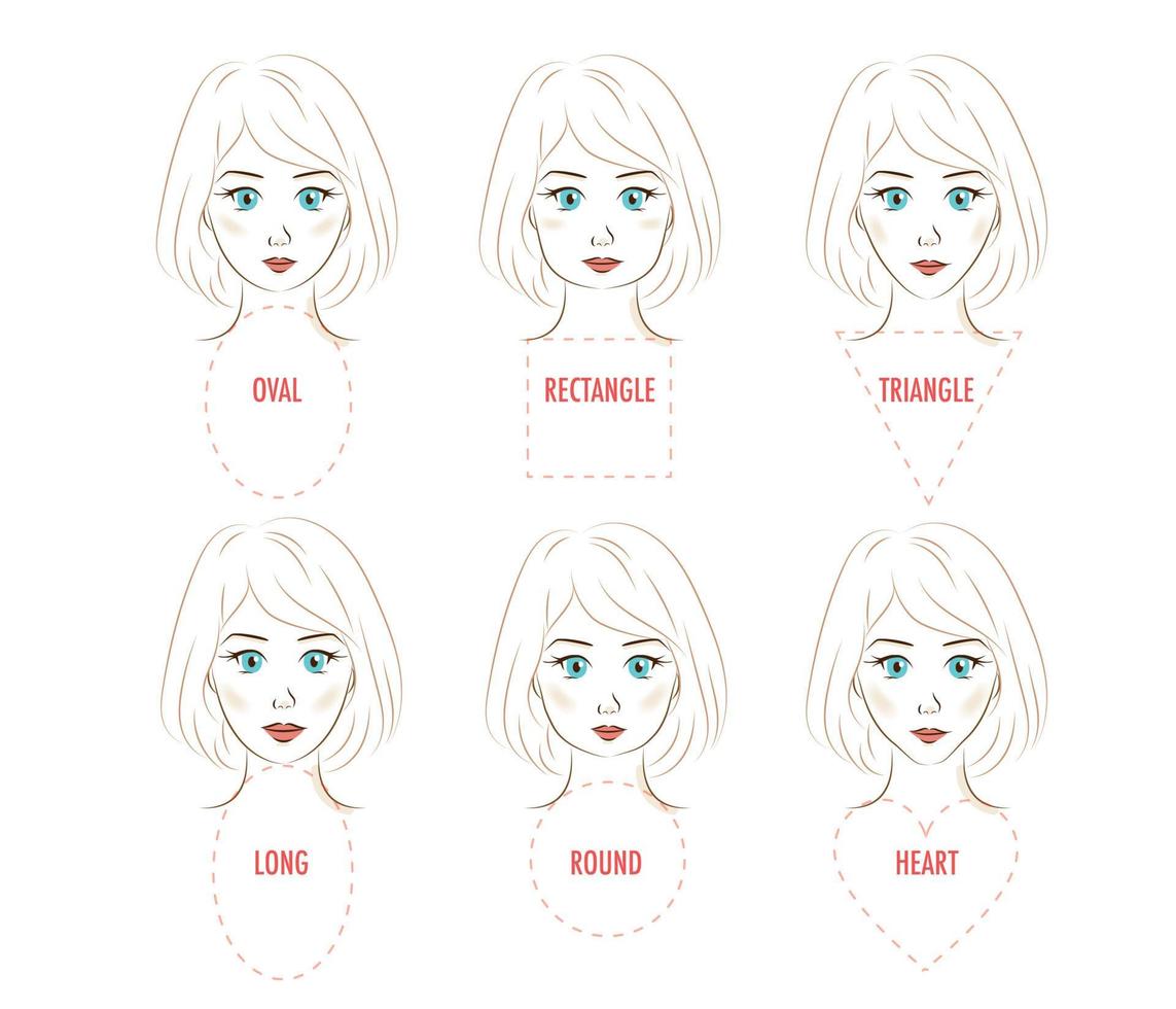 infografía de proporción de cara de mujer. vector