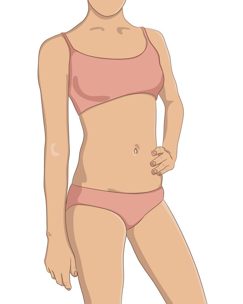 Perfect female body, slim and well fit. Woman standing in underwear. Closeup picture of torso, arms, chest, waist and thighs, front view. Contour vector illustration weight loss and fitness concept.