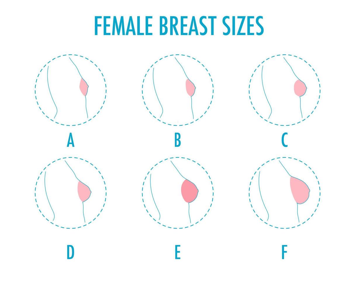 Set of round line icons of different female breast size, body side