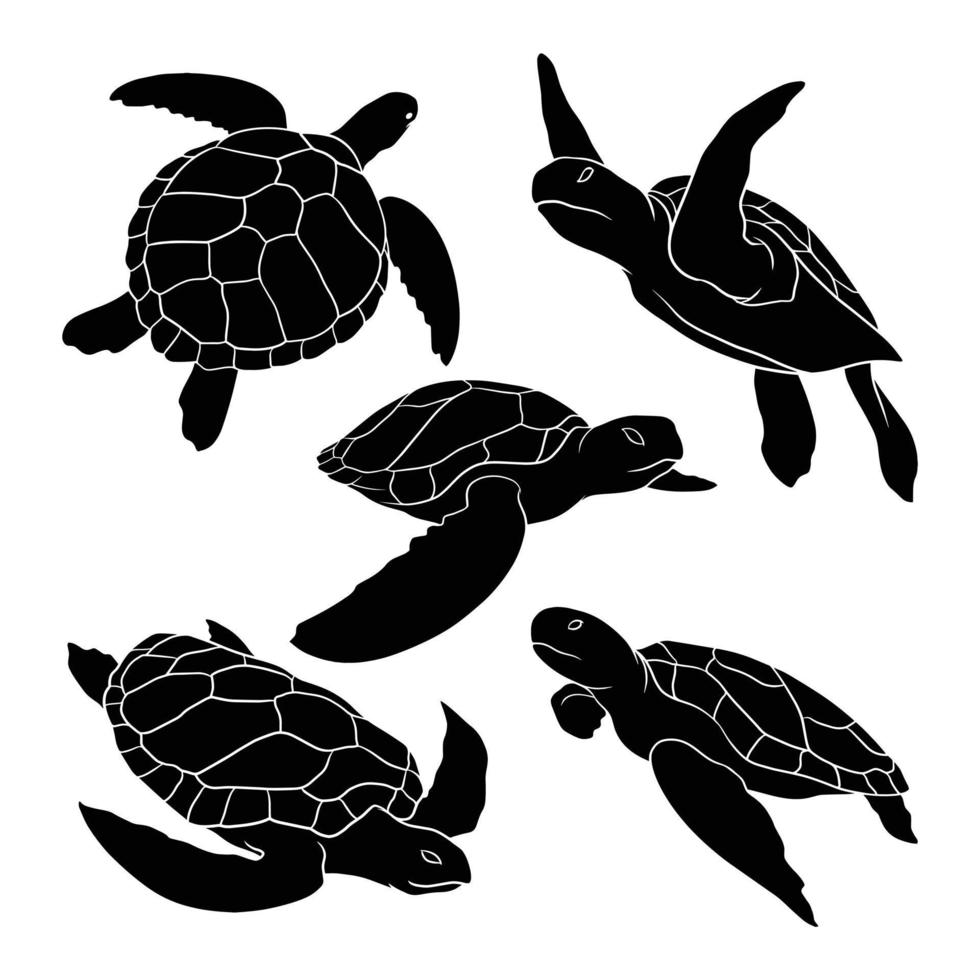 hand drawn silhouette of sea turtle vector
