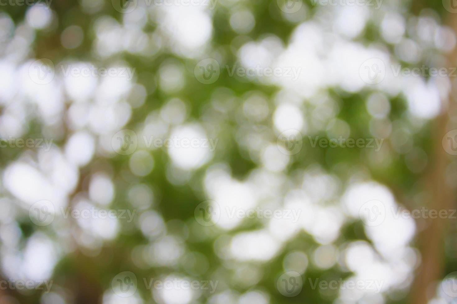 green bokeh background photo