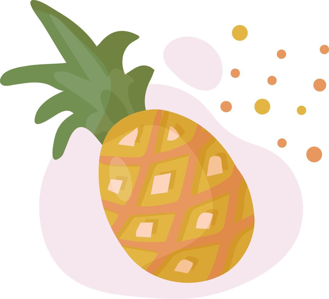 Fresh piece of fruit. Whole pineapple with green leaves. vegan food vector