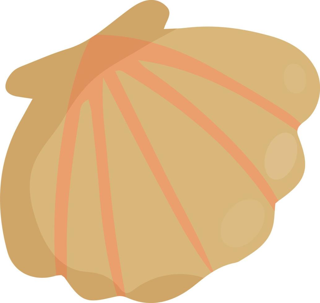 seashell. Flat vector illustration. Element for your design