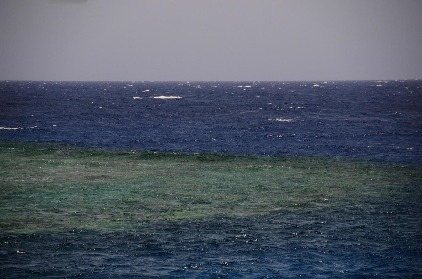 beautiful reef with blue sea water photo