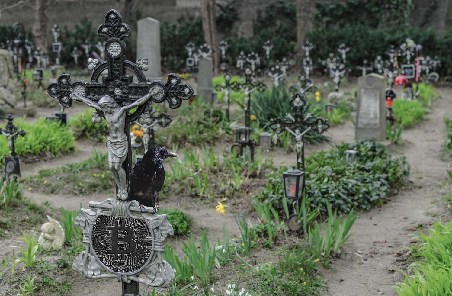 graves with bitcoin and a black raven declining crypto market and donations during the war photo