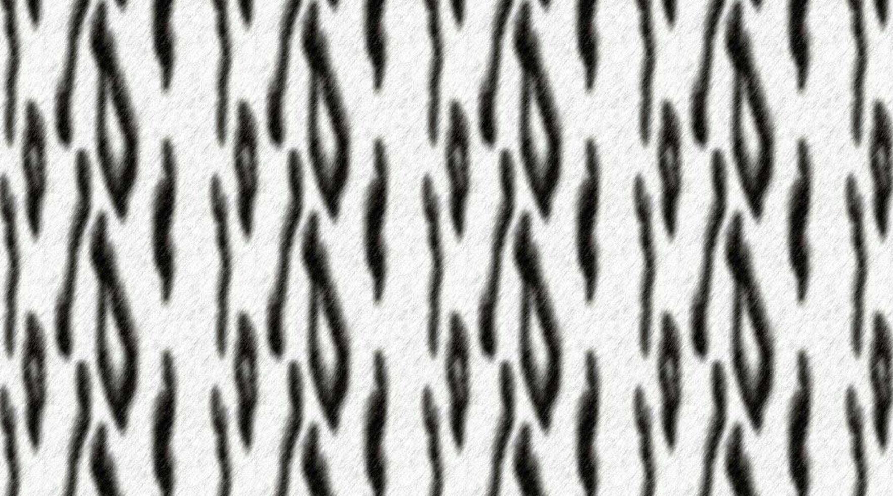 Zebra skin for the background 6969808 Stock Photo at Vecteezy