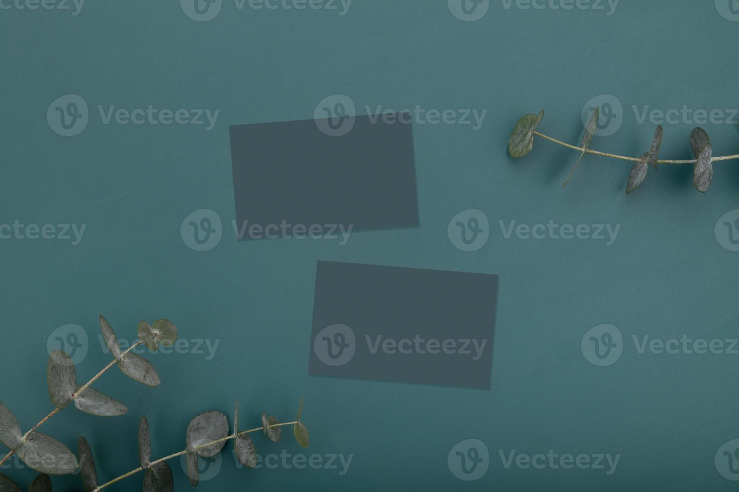 Blank business cards mockup on dark green background with eucalyptus branches top view photo