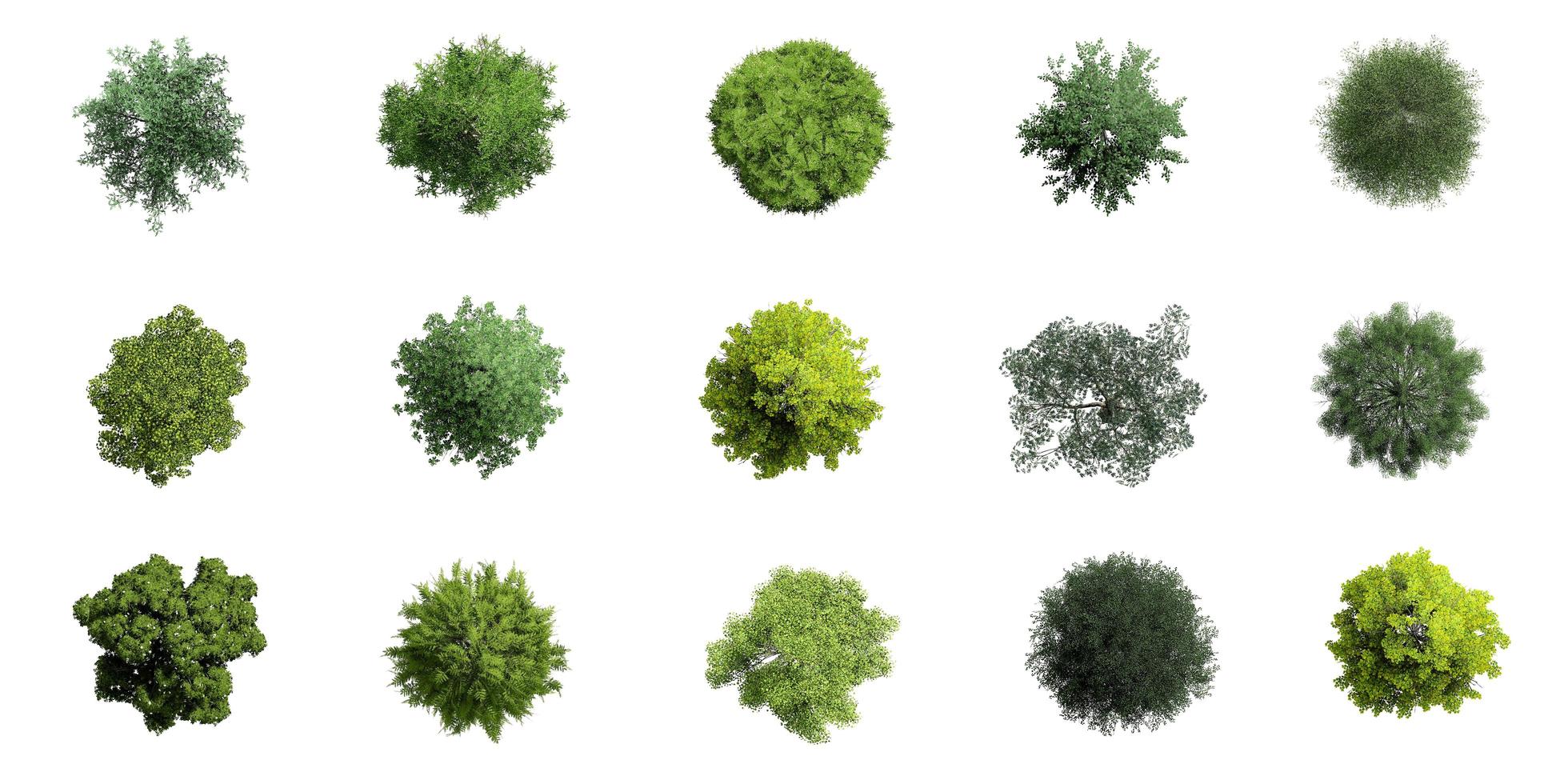 Collection of 3D Top view Green Trees Isolated on white background , Use for visualization in architectural design photo