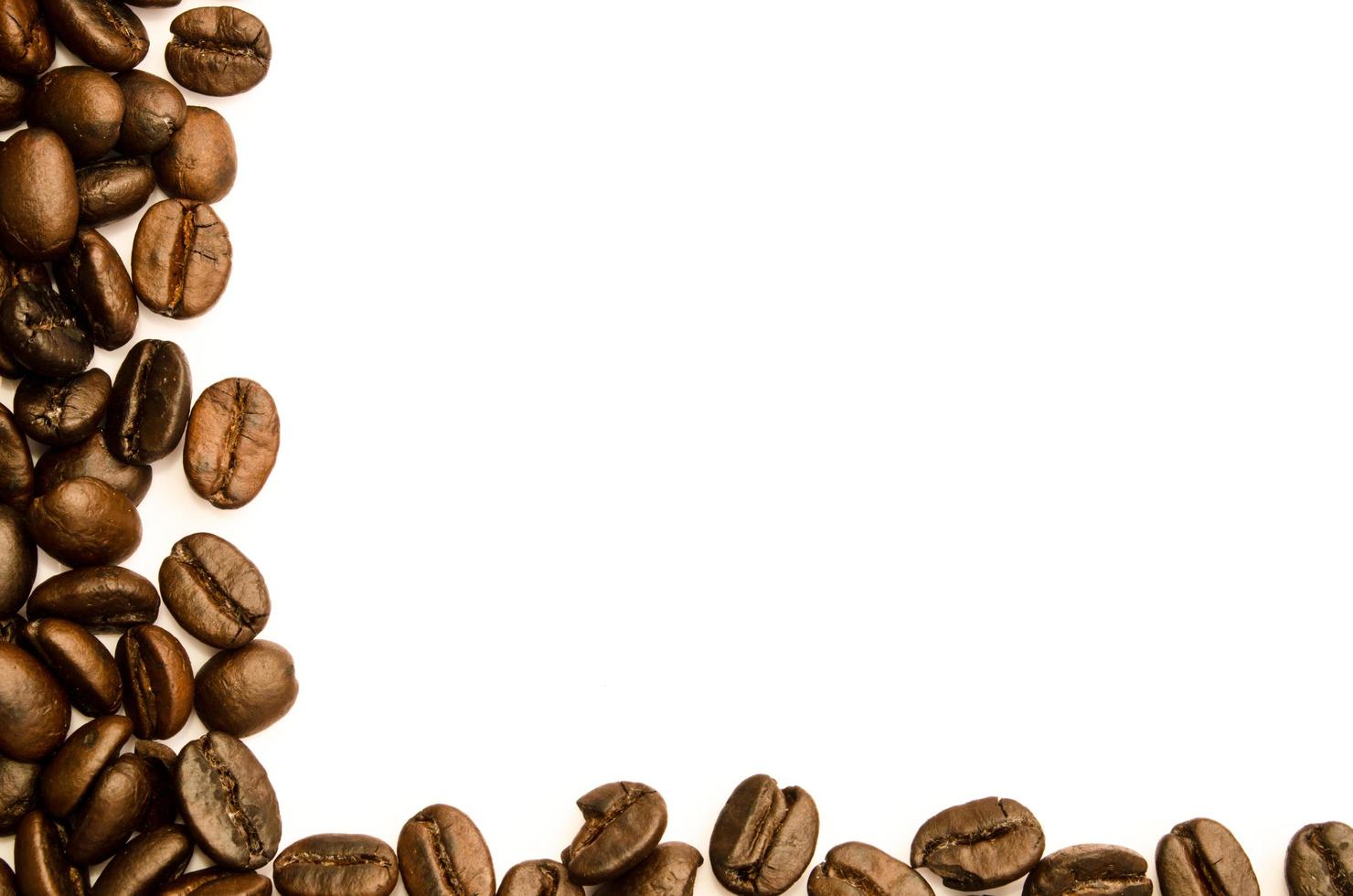 coffee beans isotation on white background photo