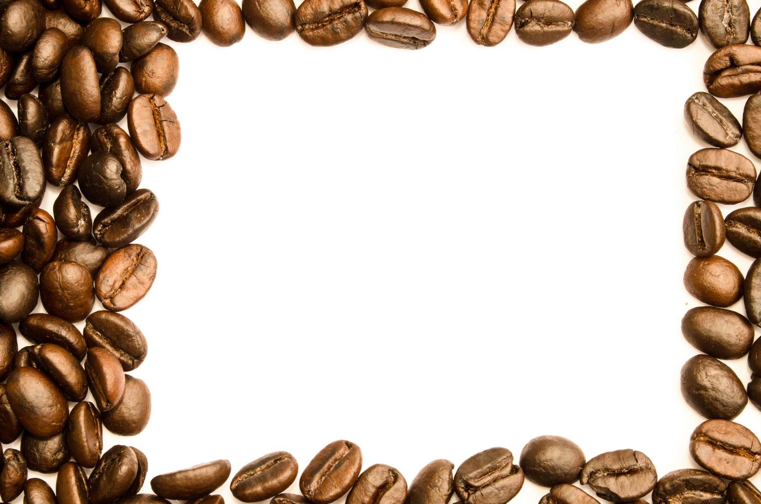 coffee beans  isotation on white background photo