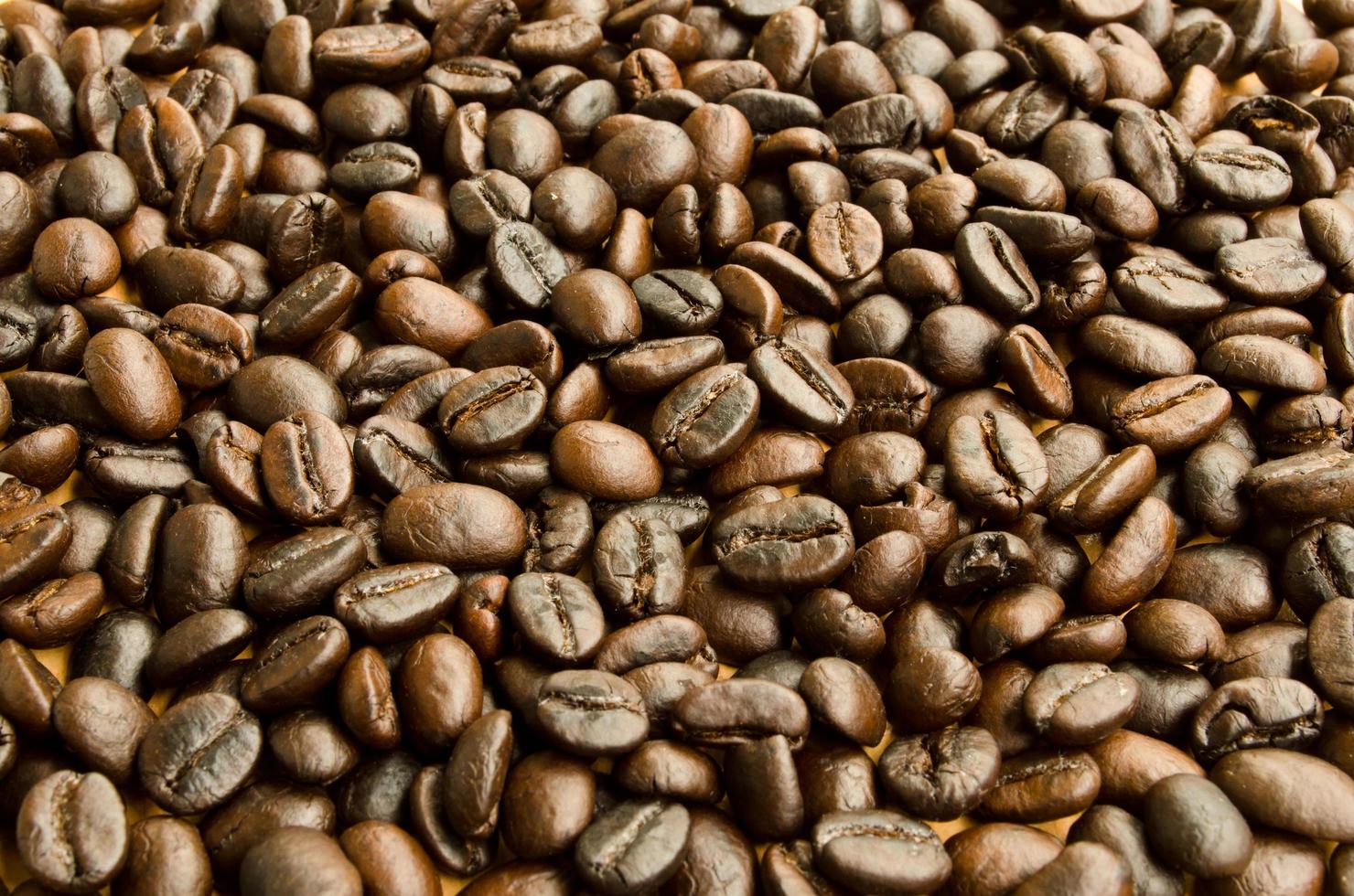 coffee beans  isotation on white background photo