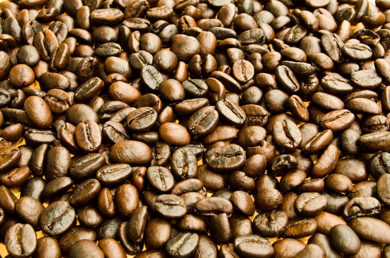 coffee beans  isotation on white background photo